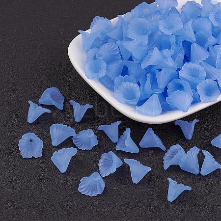 Transparent Acrylic Beads PL622-C04-1