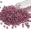 TOHO 6/0 Round Beads X-SEED-TR06-1202-1