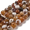 Faceted Natural Fire Crackle Agate Beads Strands G-F447-12mm-N10-1