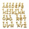 26Pcs Brass Micro Pave Cubic Zirconia Pendants KK-R218-12G-1