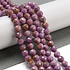 Natural Lepidolite/Purple Mica Stone Beads Strands G-NH0011-A01-04-2