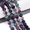 Natural Rainbow Fluorite Beads Strands G-T140-22C-2