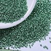 MIYUKI Delica Beads SEED-MY11-DB0426-1