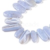 Natural Blue Lace Agate Beads Strands G-H006-B01-02-3