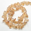 Electroplate Natural Quartz Crystal Chip Beads Strands G-L153-03-3