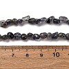 Natural Iolite/Cordierite/Dichroite Beads Strands G-I389-A34-01A-5
