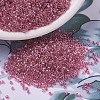 MIYUKI Delica Beads SEED-J020-DB0902-1