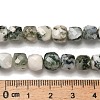 Natural Tree Agate Beads Strands G-H078-C06-01-5