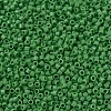 MIYUKI Delica Beads SEED-X0054-DB0724-3