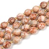 Natural Red Netstone Beads Strands G-N342-149I-15-2