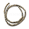 Natural Dalmatian Jasper Beads Strands G-E612-A01-B-2