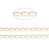 3.28 Feet Brass Handmade Beaded Chains X-CHC-I031-21G-1