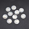 Shell Cabochons SSHEL-E568-B08-2