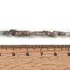 Natural Herkimer Diamond Beads Strands GG-CBA8084-03-5
