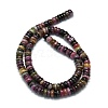 Natural Tourmaline Beads Strands G-G106-L01-01-2