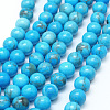 Natural Howlite Beads G-G904-8mm-01-2