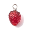 Handmade Lampwork Pendants PALLOY-JF02375-1