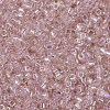 MIYUKI Delica Beads SEED-X0054-DB1243-4