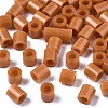 PE Fuse Beads LS-DIY-R013-78-1