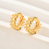 Fashionable Classic Versatile Brass Leverback Earrings for Women VM3947-1