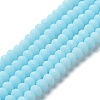 Glass Beads Strands EGLA-A034-P6mm-MD06-1