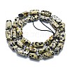 Natural Dalmatian Jasper Beads Strands G-K245-I03-01-2