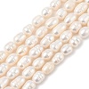 Natural Cultured Freshwater Pearl Beads Strands PEAR-I007-01D-04A-2