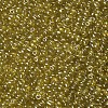 Glass Seed Beads SEED-A006-4mm-110-2