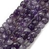 Natural Amethyst Beads Strands G-G140-C04-03-1