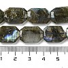 Natural Labradorite Beads Strands G-P544-B08-01-5