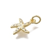 Brass Micro Pave Clear Cubic Zirconia Charms KK-D431-053C-G-2