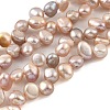 Natural Cultured Freshwater Pearl Beads Strands PEAR-A006-19A-1