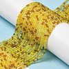 Transparent Glass Beads Strands GLAA-H027-01H-2