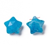 Natural Howlite Charms G-H241-04E-3