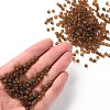 Glass Seed Beads SEED-A008-4mm-M13-4