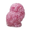 Resin Owl Display Decoration PW-WG10820-01-1