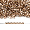 TOHO 3/0 Round Beads SEED-XTR03-0989-4
