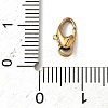 304 Stainless Steel Lobster Claw Clasps STAS-K252-13B-3