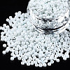 8/0 Glass Seed Beads SEED-S061-A-979-8