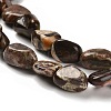 Natural Ocean Jasper Beads Strands G-P497-01E-76-4