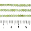 Natural Xiuyan Jade Beads Strands G-Z074-A04-01-5