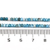 Natural Apatite Beads Strands G-F770-D09-02A-5