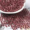 Transparent Glass Round Seed Beads SEED-B001-05A-21-1