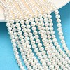 Natural Cultured Freshwater Pearl Beads Strands PEAR-L034-06D-1