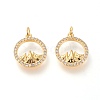 Brass Micro Pave Clear Cubic Zirconia Charms ZIRC-L098-025G-1