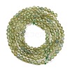 Natural Green Apatite Beads Strands G-F770-C03-02-3