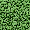 TOHO 6/0 Round Beads SEED-XTR06-0047F-3