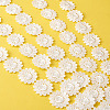 Polyester Lace Trim OCOR-TAC0008-18-8