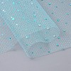 Glitter Sequin Deco Mesh Ribbons OCOR-I005-E08-2