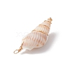 3Pcs Natural Shell Pendants PALLOY-JF03226-03-5